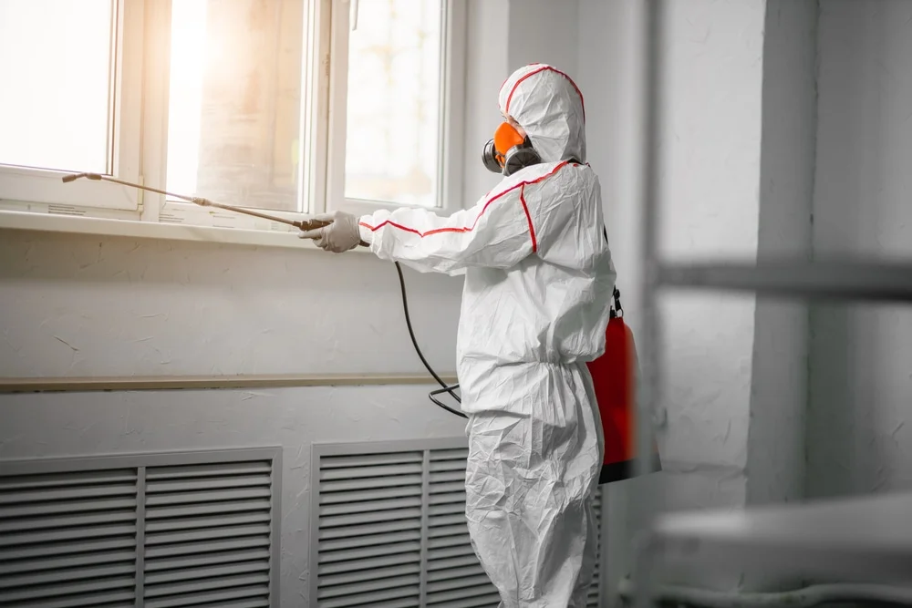 Professional mold remediation services in Franklin Park, NJ